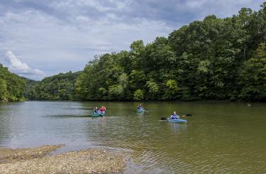 Paddling in the water