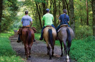 Horses in Kentucky - horseback riding on trail