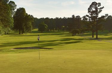 Kentucky Dam Village Golf Course green shot