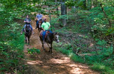 three adults horsebackriding along wooded path