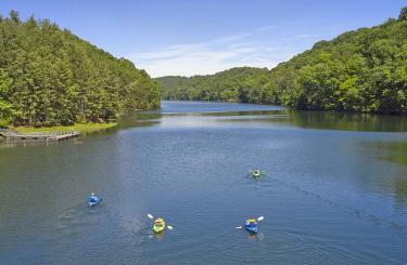 Four colorful kayaks gliding over a calm Greenbo Lake with forest on either side.